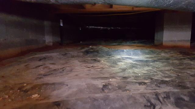 Dirty crawl space
