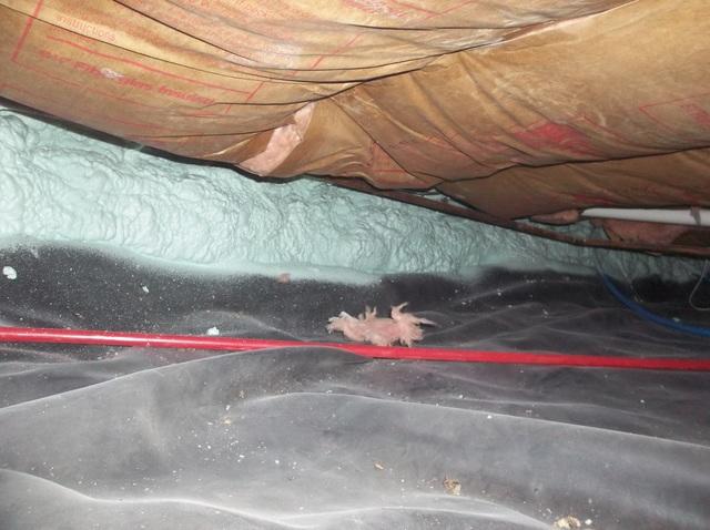 Crawlspace Encapsulated with Spray Foam Insulation