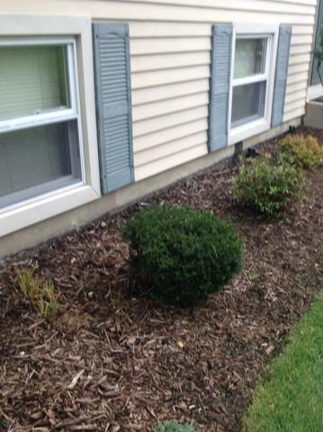 Stan S Roofing Siding Siding Photo Album Plainfield Il Cosmetic Refinishing Siding Window Repair Project