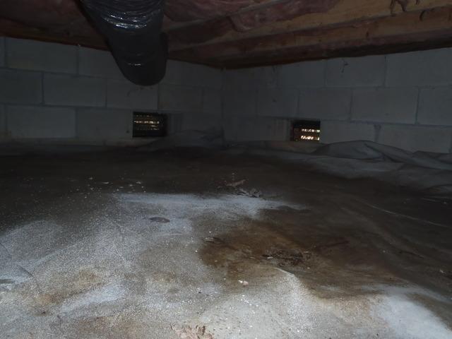 Eliminate Moisture with Crawl Space Insulation in Berlin, MD