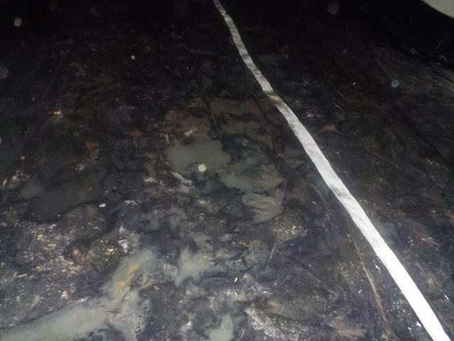 Standing water