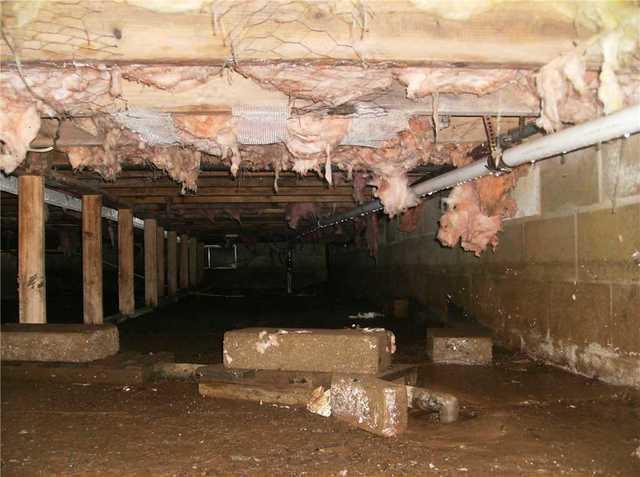 Insulation falls from the ceiling and moisture is visible along the bottom of the wall.