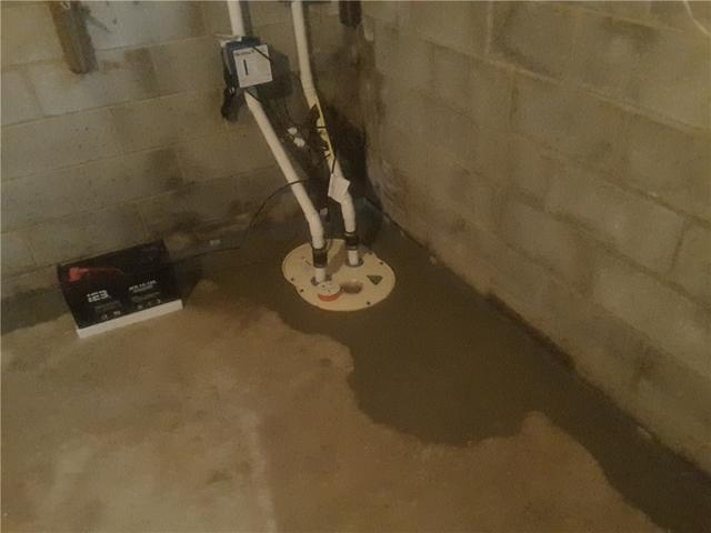 TripleSafe Sump Pump