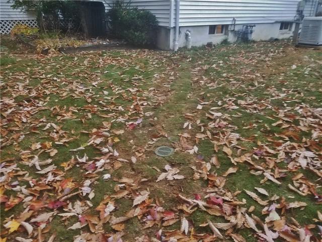 Lawn After Clean up