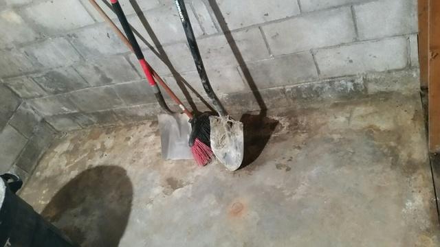 Further Water Damage