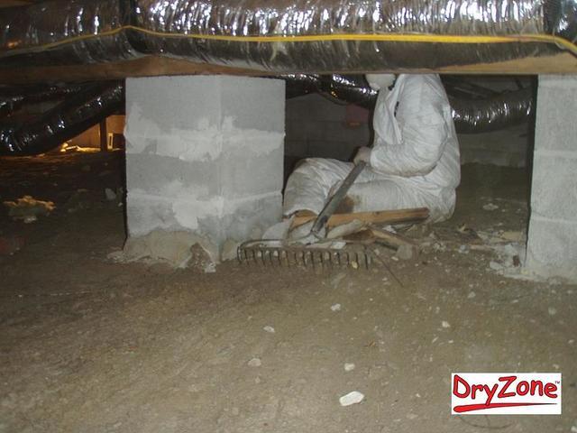 Prepping the crawl space for the new liner
