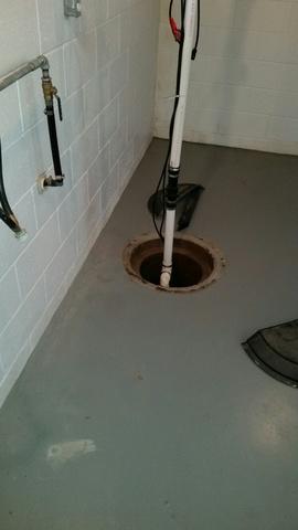 Original Sump Pump