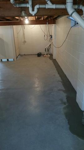 TripleSafe Sump Pump and WaterGuard