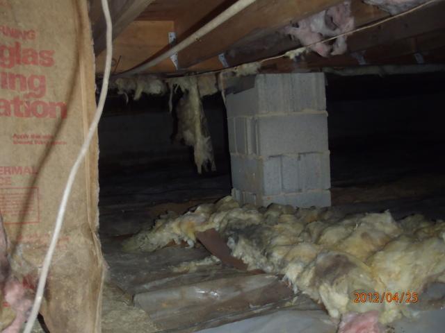 Just Too Much Moisture in this crawl space in Newark, Maryland!