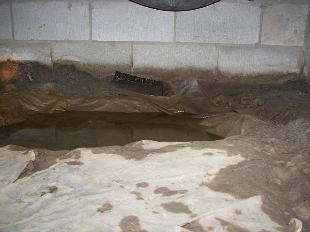 Pools of standing water