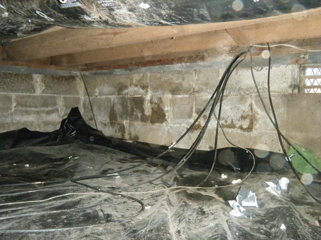 Overview of Damp Crawlspace Walls in Evansville, IN