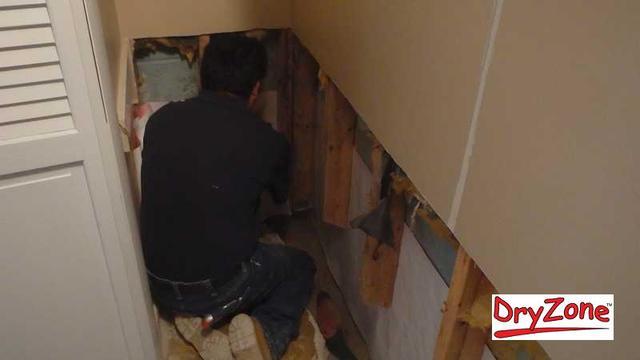 Carlos in the corner