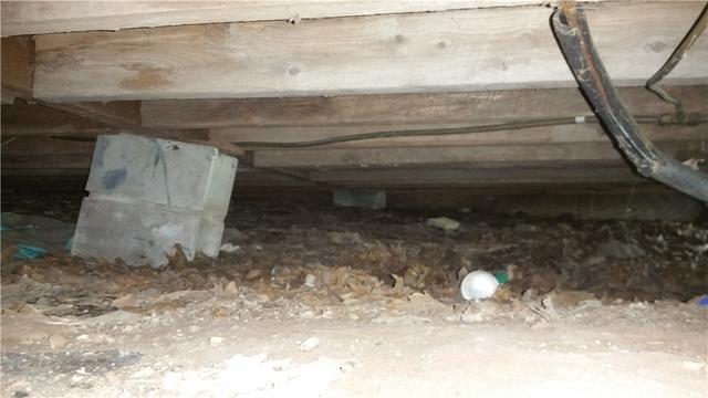 Not What you Want To See