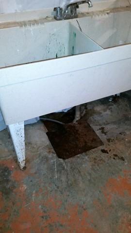 CleanSpace and WaterGuard