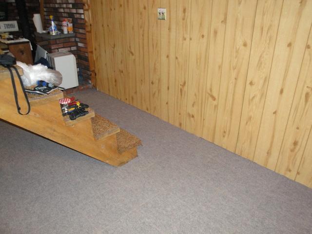 New basement carpet!