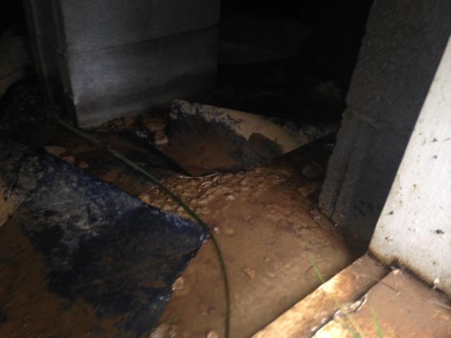 Exposed Dirt