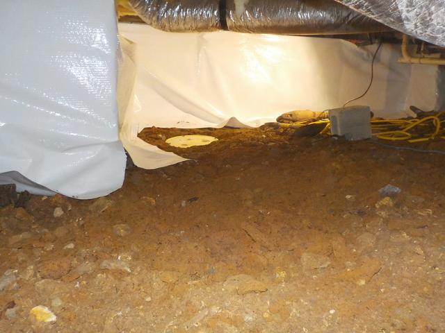 Beginning stages of encapsulation