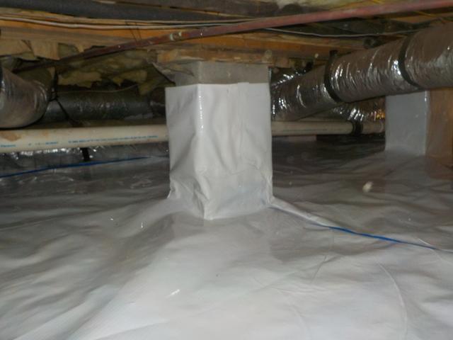 CleanSpace liner.