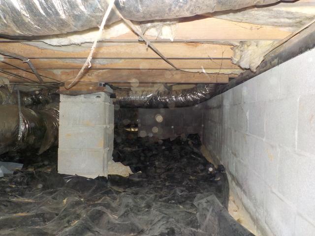 Before CleanSpace