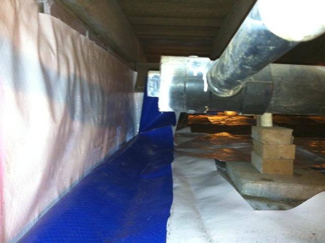 Muldraugh Crawlspace was Family's Allergy Culprit