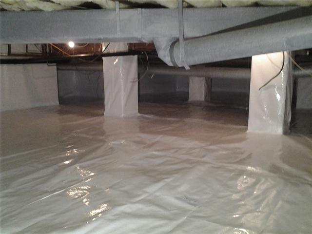 CleanSpace Protection