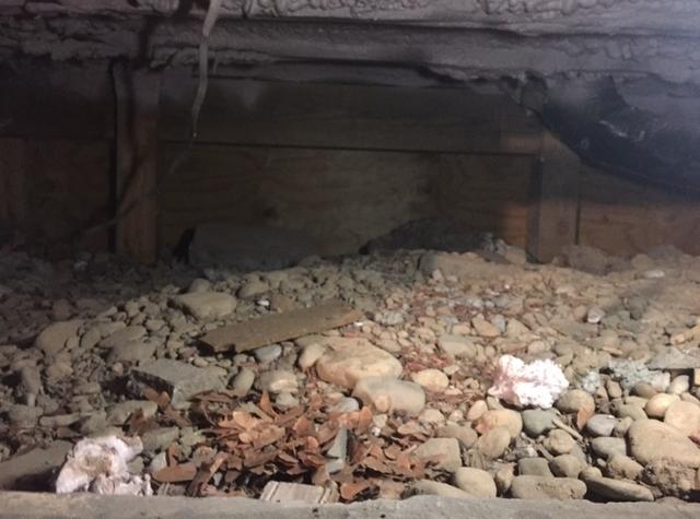 Uninsulated Crawlspace in Binghamton, NY