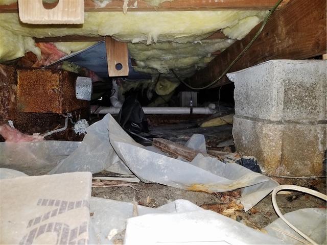 Dirty, Cold Crawl Space in Lavallette, NJ