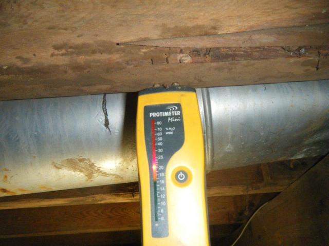 Increased Relative humidity