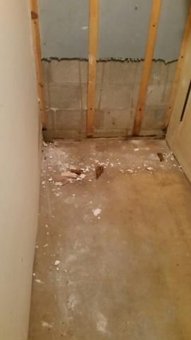 Debris from Intrusion