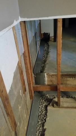 WaterGuard Over Steps