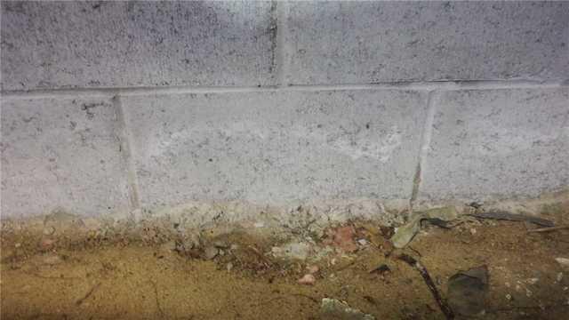 Efflorescence on Crawl Space Block Wall