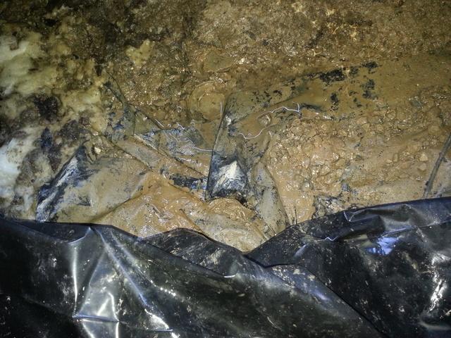 Exposed soil