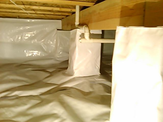 CleanSpace