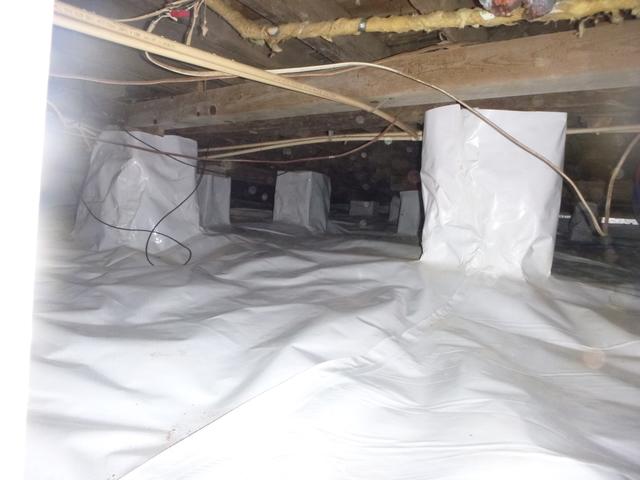 CleanSpace