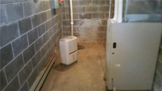 Basement Dehumidifier