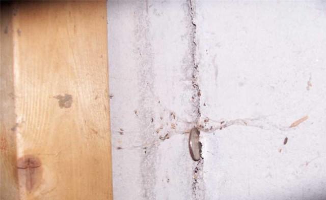 Wall Crack Visualization
