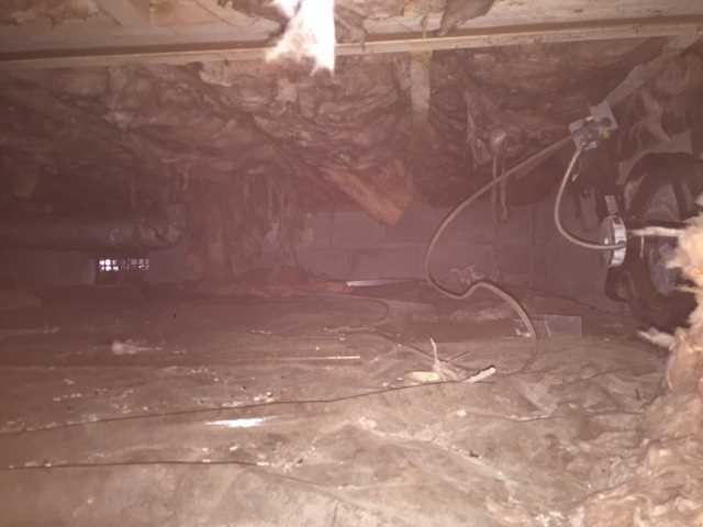 Uncovered Soil in a Crawl Space Creates Haven for Mold