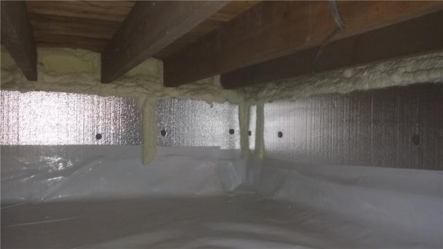 CleanSpace and SilverGlo