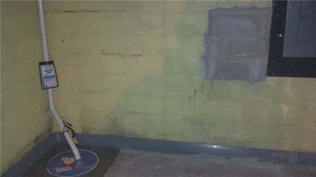 WaterGuard in Basement