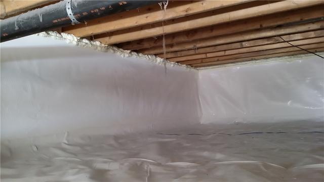 CleanSpace