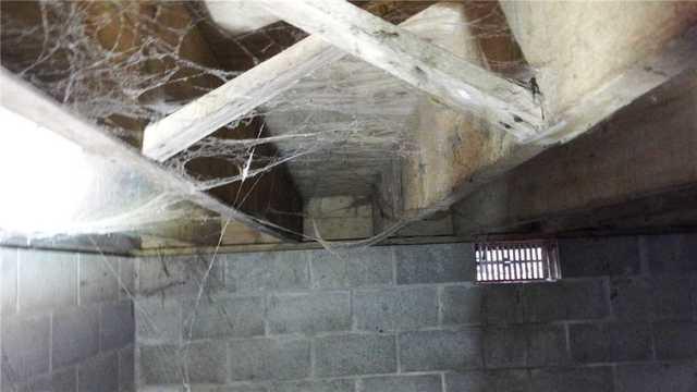 Crawl Space Vent