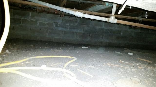 Damp Crawlspace