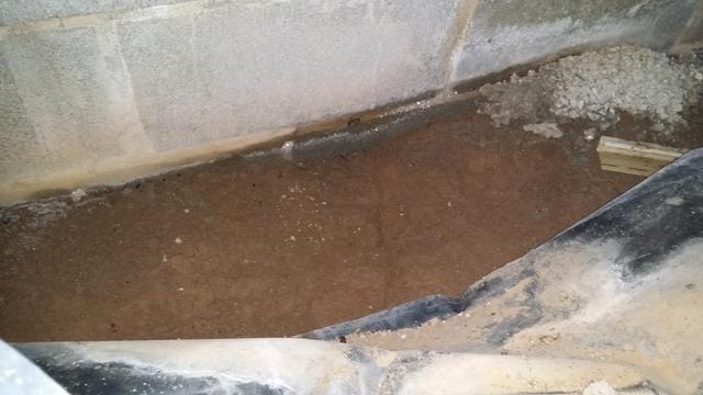 Exposed dirt