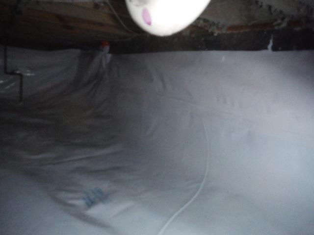 CleanSpace