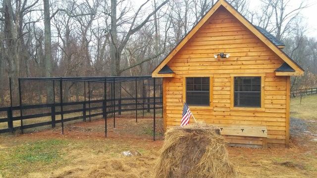 Chicken coop construction in Round Hill, Virginia