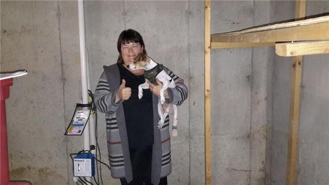 TripleSafe Sump Pump