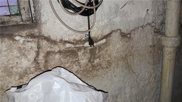 Bright Comfortable Basement