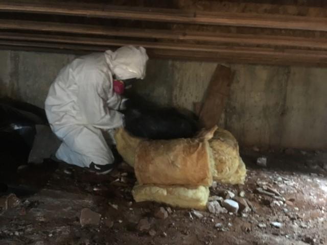 Subfloor Fiberglass Batt Insulation Removal