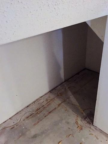 Water Damage at Joints