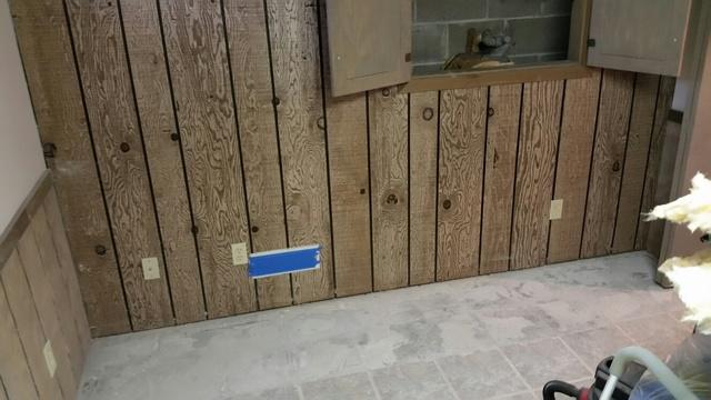 Damp Paneling and Floors